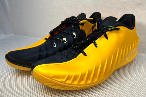 Nike air zoom cut - air,
